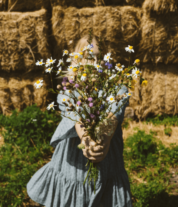 La cosy romantasy, une lecture doudou pour l'automne