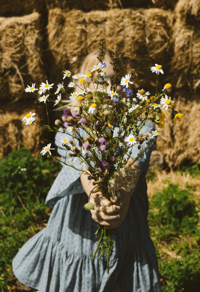 La cosy romantasy, une lecture doudou pour l'automne