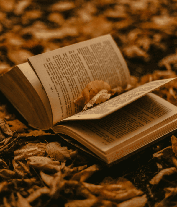 Retour en librairie pour Le Pumpkin Spice Café