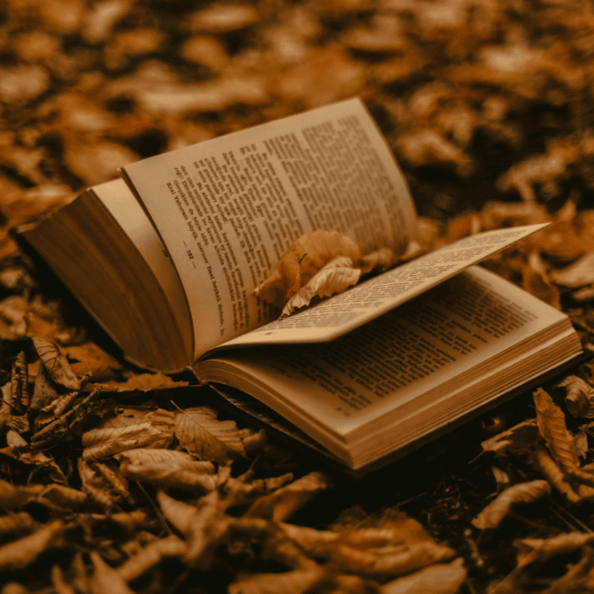 Retour en librairie pour Le Pumpkin Spice Café