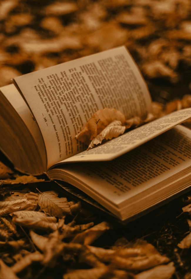 Retour en librairie pour Le Pumpkin Spice Café