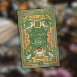 La romantasy de Laura S Wild sort bientôt en librairie