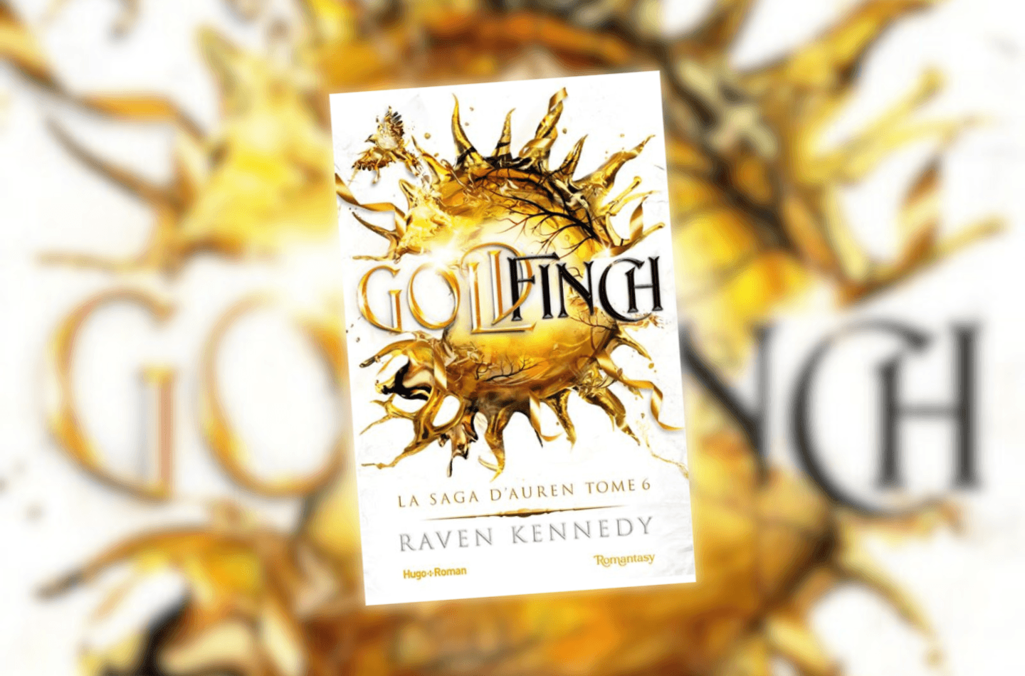 Précommander Goldfinch avant sa sortie