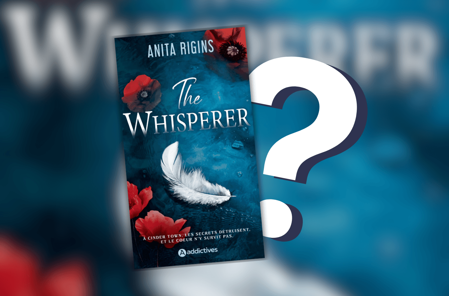 Nouvelle romance d'Anita Rigins